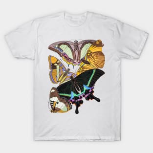 Butterflies Watercolor #5 T-Shirt